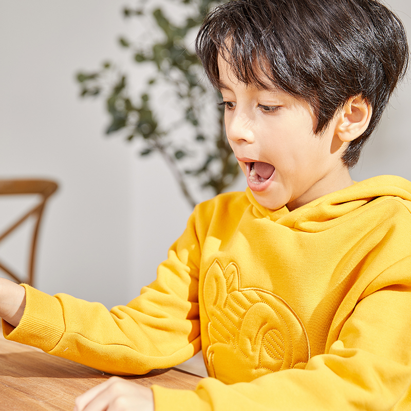 Yellow Hooded Pullover Squirrel Embellished Boy's Sweatshirt