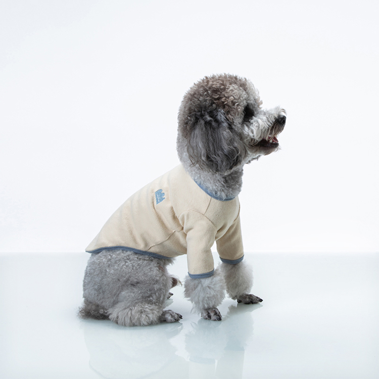 Personalized Little Dog Sweater Designer Pet Knit Sweater For Cute Puppier