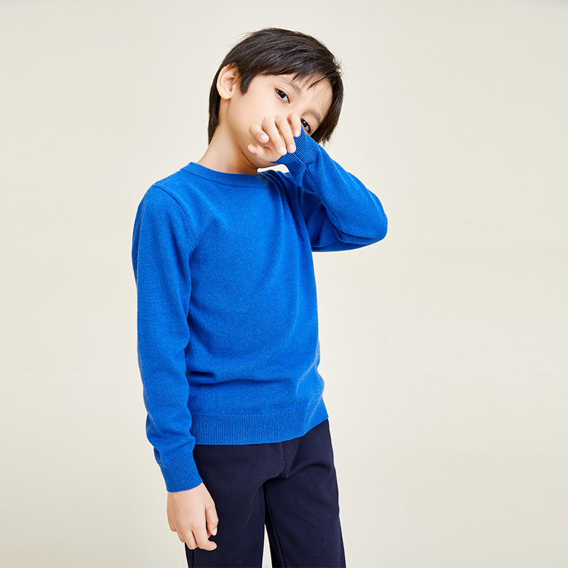 Boys' Round Neck Long Sleeve Knitting Classic Style Sweater