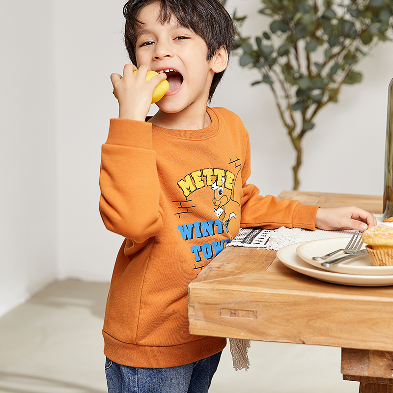 boy pullover