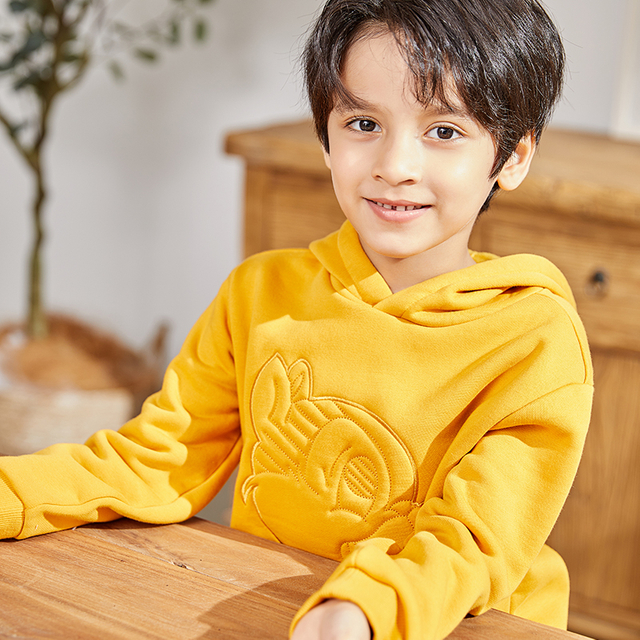 Yellow Hooded Pullover Squirrel Embellished Boy's Sweatshirt